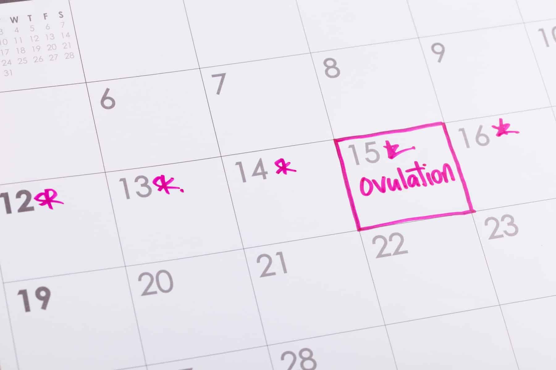 6 Ways To Predict Ovulation Get Pregnant Mira Fertility Tracker