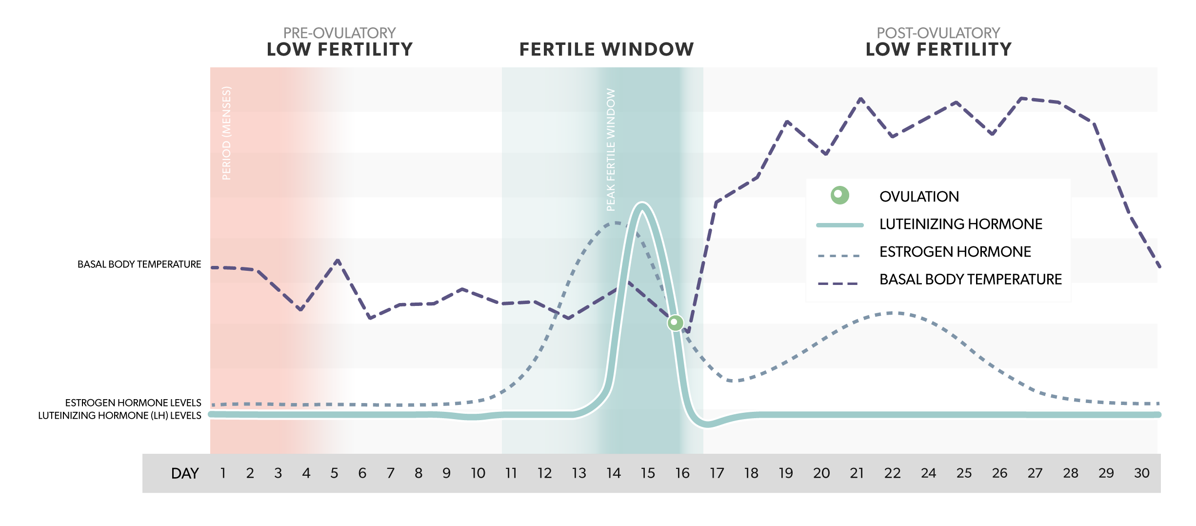 A Complete Guide to Testing with Mira Fertility Plus
