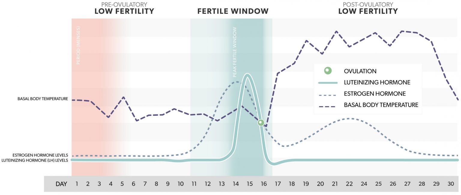 Why You Should Track Your Ovulation with Mira Fertility Plus