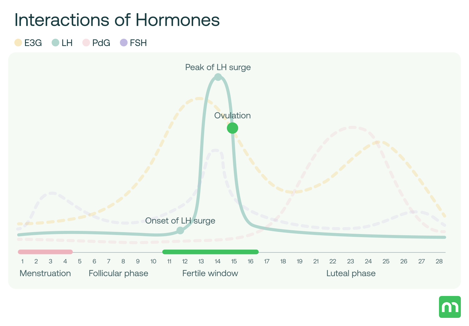 LH Levels: Understanding Normal Ranges and The Benefit of Testing